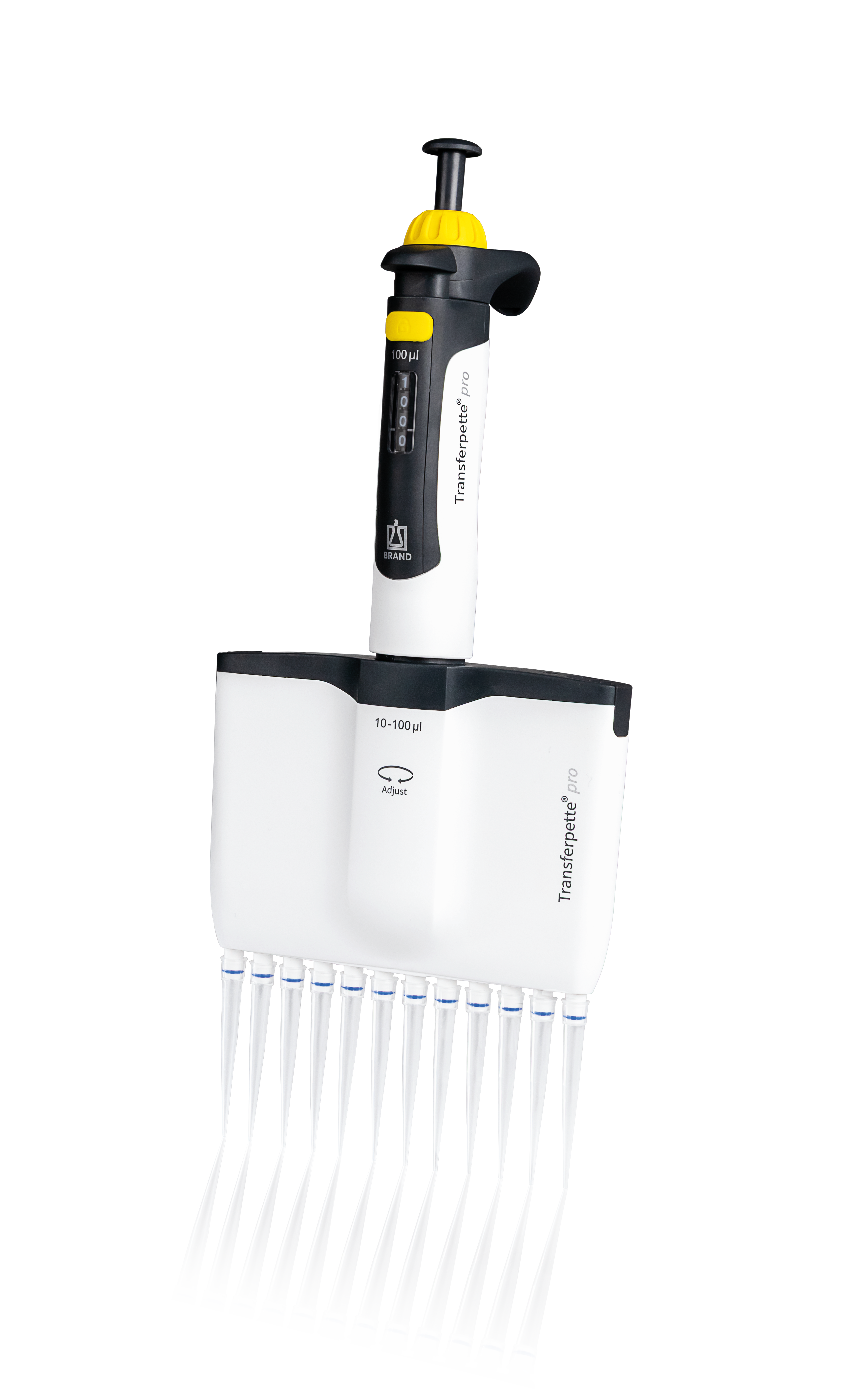 Transferpette Pro 12-Channel 10-100 µL