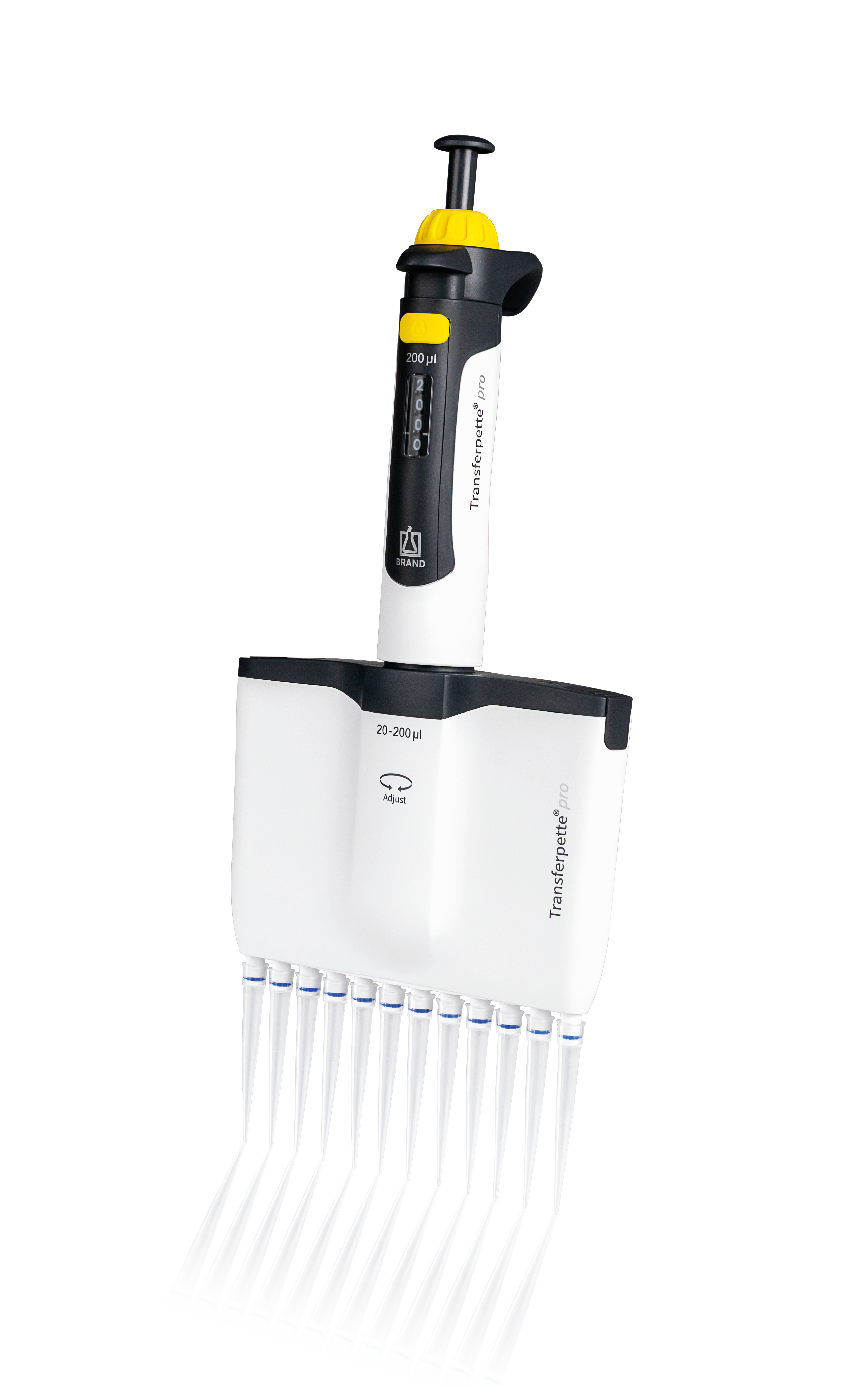 Transferpette Pro 12-Channel 20-200 µL